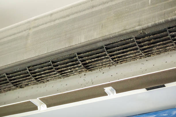 Best Ductwork Cleaning Services  in Moody Af, GA